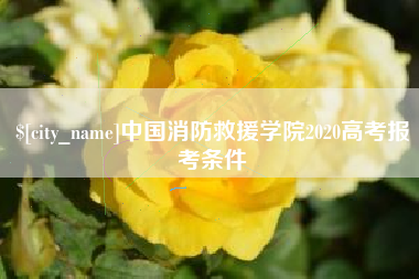 临夏中国消防救援学院2020高考报考条件