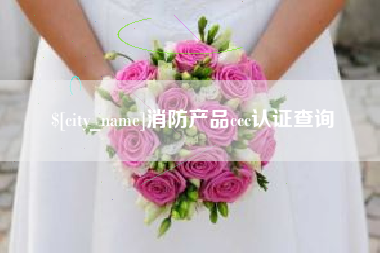 临夏消防产品ccc认证查询