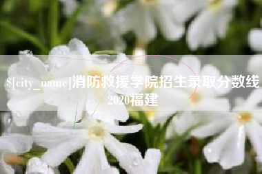 临夏消防救援学院招生录取分数线2020福建