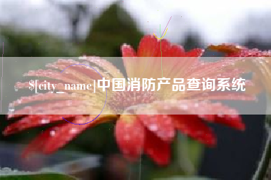 临夏中国消防产品查询系统