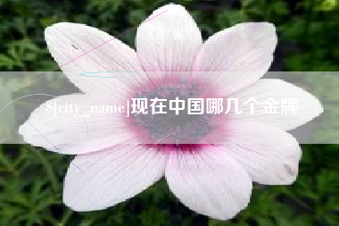 临夏现在中国哪几个金牌
