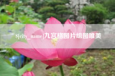 临夏九宫格图片组图唯美