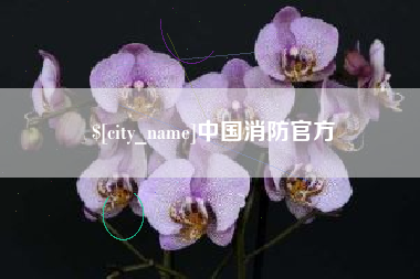 临夏中国消防官方