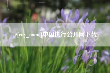 临夏中国执行公开网下载
