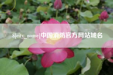 临夏中国消防官方网站域名