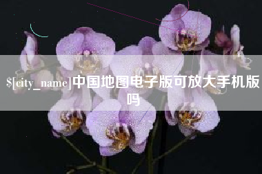 临夏中国地图电子版可放大手机版吗