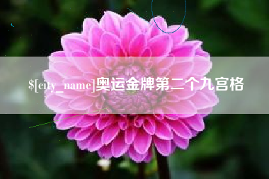 临夏奥运金牌第二个九宫格