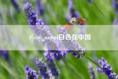 临夏白色在中国