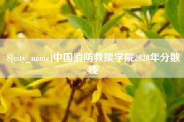 临夏中国消防救援学院2020年分数线