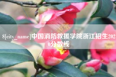 临夏中国消防救援学院浙江招生2020分数线