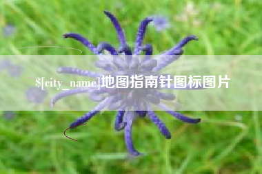 临夏地图指南针图标图片