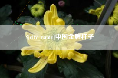 临夏中国金牌样子