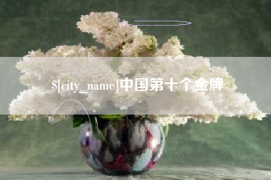 临夏中国第十个金牌