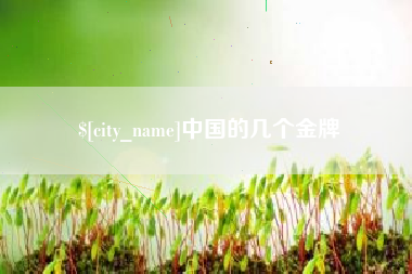 临夏中国的几个金牌