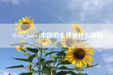 临夏中国的金牌是什么样的