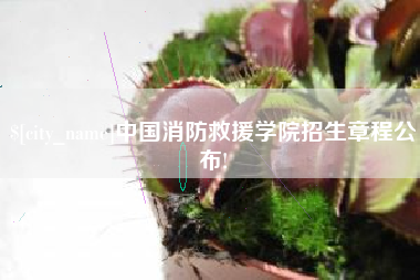 临夏中国消防救援学院招生章程公布!