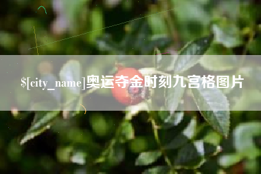 临夏奥运夺金时刻九宫格图片