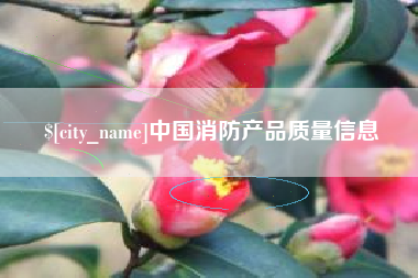 临夏中国消防产品质量信息