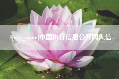 临夏中国执行信息公开网失信