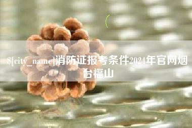 临夏消防证报考条件2024年官网烟台福山