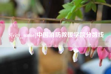 临夏中国消防救援学院分数线