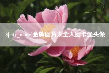 临夏金牌图片大全大图卡通头像