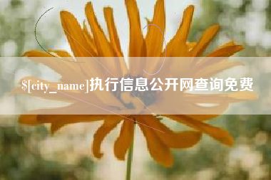 临夏执行信息公开网查询免费