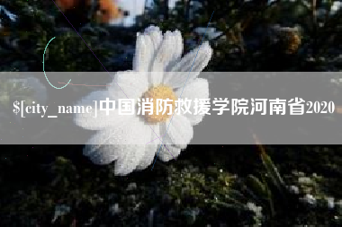 临夏中国消防救援学院河南省2020
